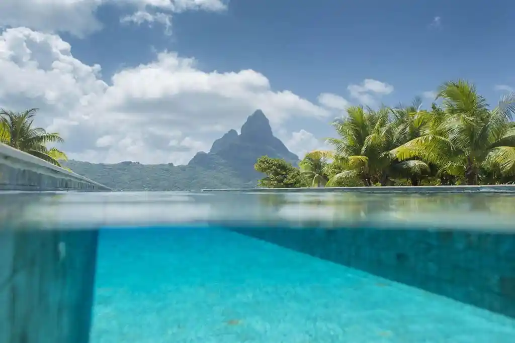 ME4-1753-01_Bien-Immobilier