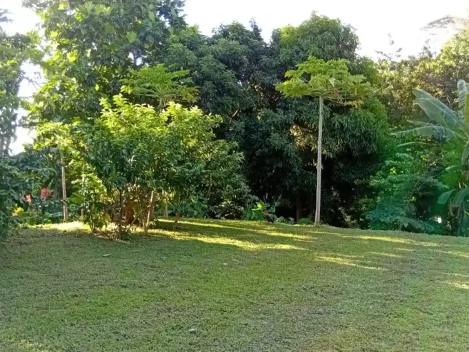 ME4-2380